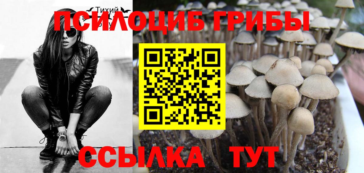 Псилоцибиновые грибы мицелий Белово